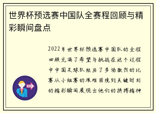 世界杯预选赛中国队全赛程回顾与精彩瞬间盘点