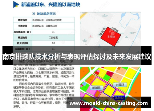 南京排球队技术分析与表现评估探讨及未来发展建议