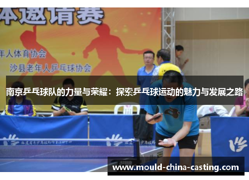 南京乒乓球队的力量与荣耀：探索乒乓球运动的魅力与发展之路