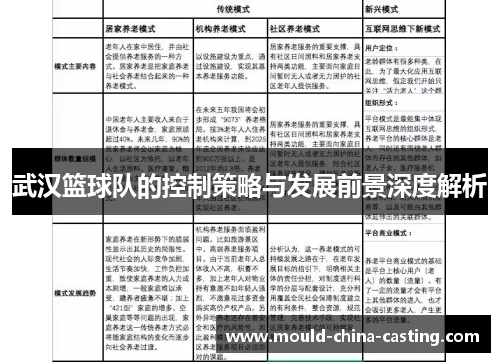 武汉篮球队的控制策略与发展前景深度解析