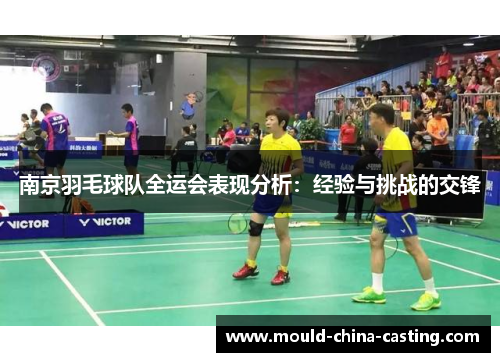 南京羽毛球队全运会表现分析：经验与挑战的交锋