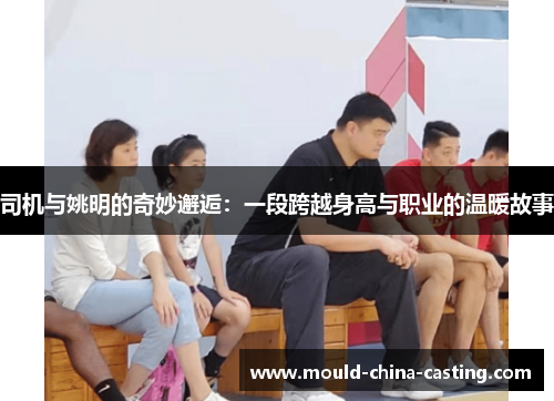 司机与姚明的奇妙邂逅：一段跨越身高与职业的温暖故事