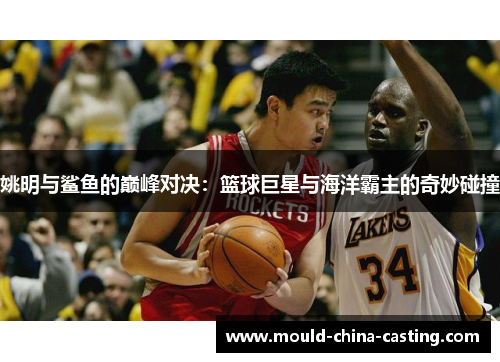 姚明与鲨鱼的巅峰对决：篮球巨星与海洋霸主的奇妙碰撞