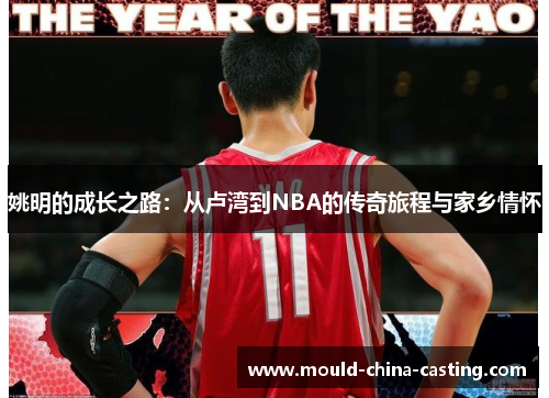 姚明的成长之路：从卢湾到NBA的传奇旅程与家乡情怀