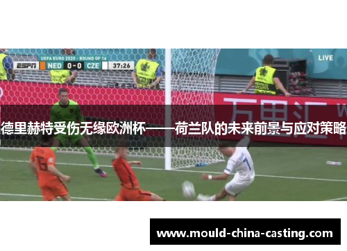 德里赫特受伤无缘欧洲杯——荷兰队的未来前景与应对策略