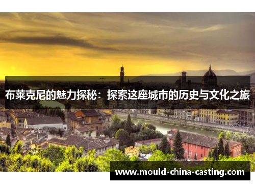 布莱克尼的魅力探秘：探索这座城市的历史与文化之旅