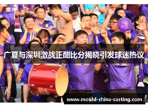 广夏与深圳激战正酣比分揭晓引发球迷热议
