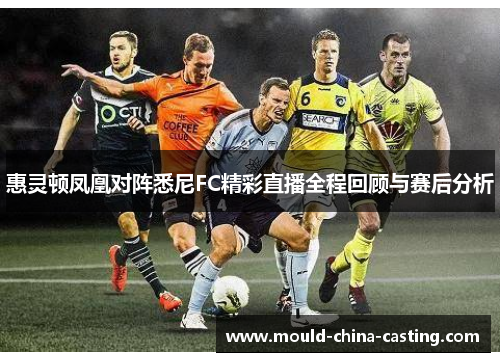惠灵顿凤凰对阵悉尼FC精彩直播全程回顾与赛后分析