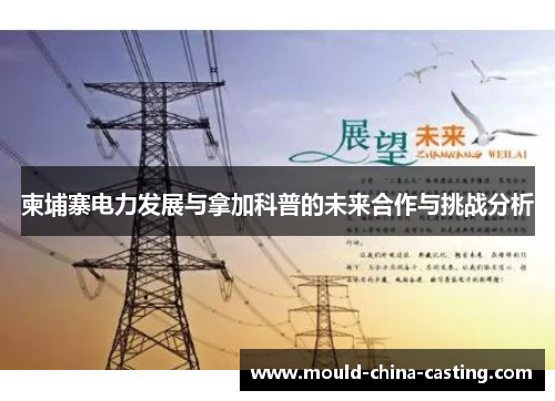 柬埔寨电力发展与拿加科普的未来合作与挑战分析